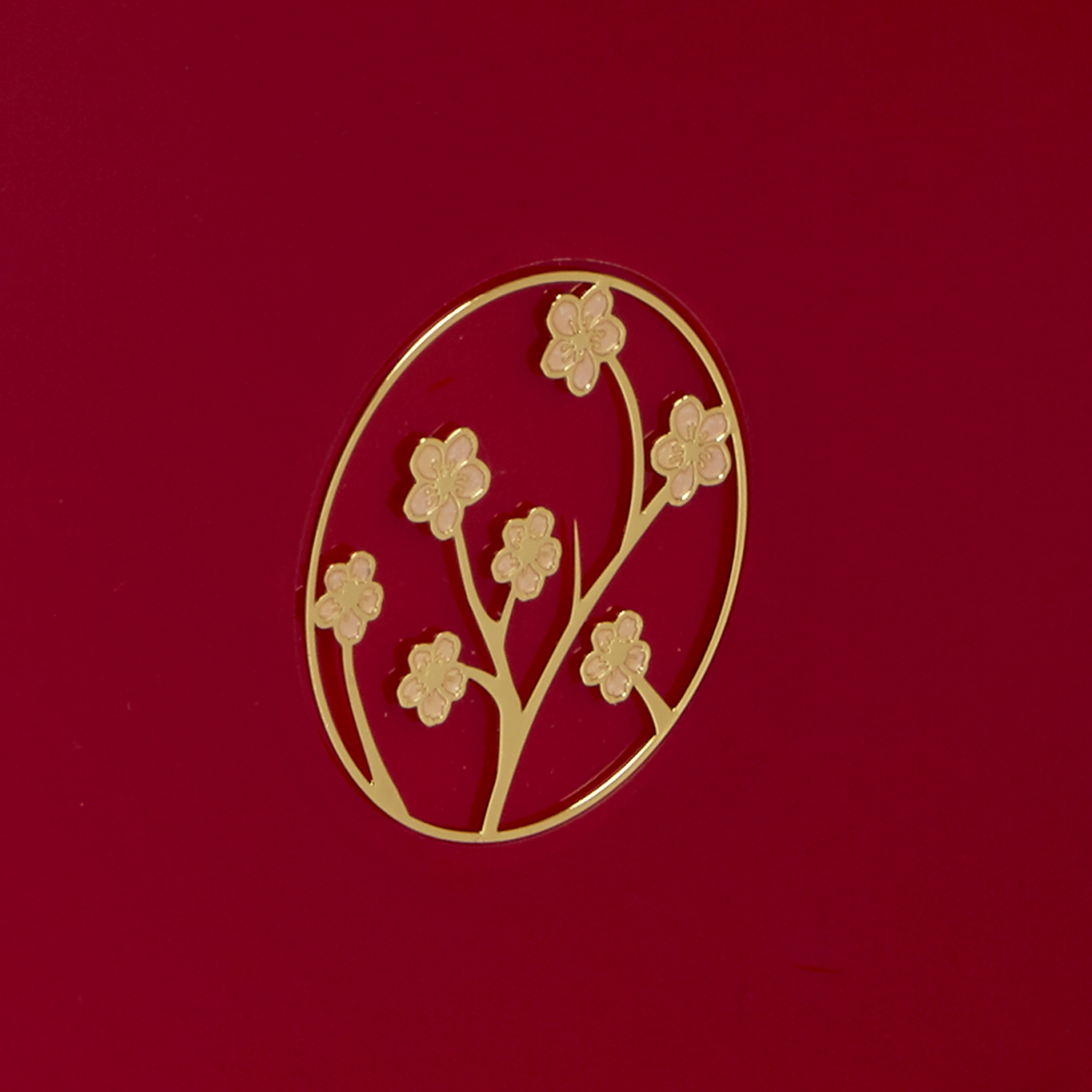 cs-rosso per urne